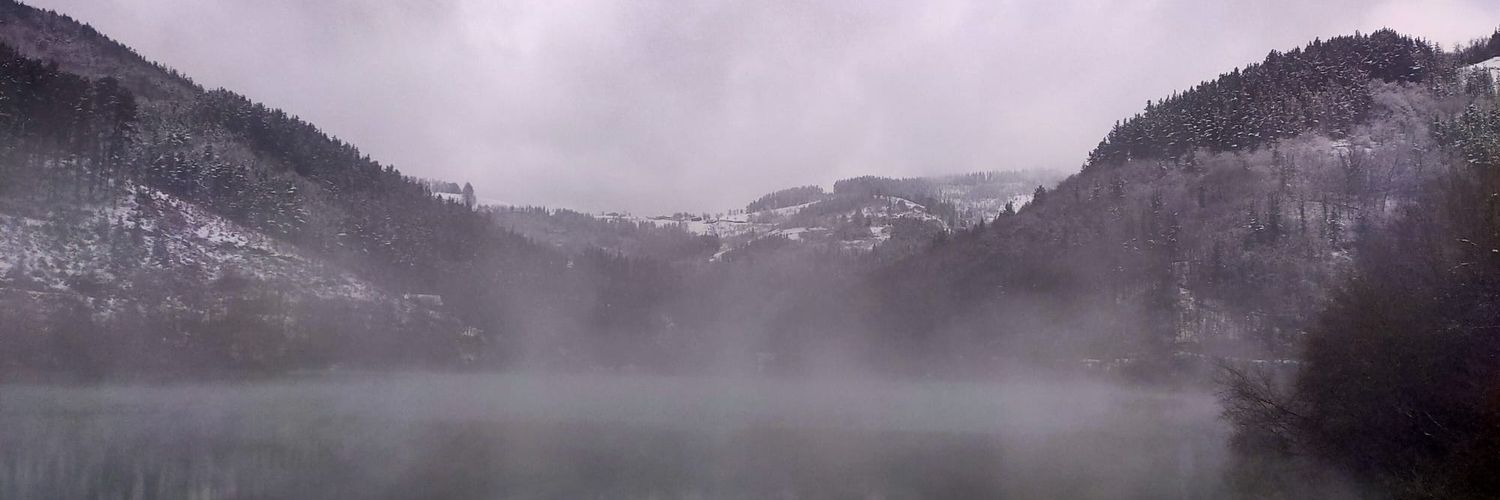 Manu Salbatore banner