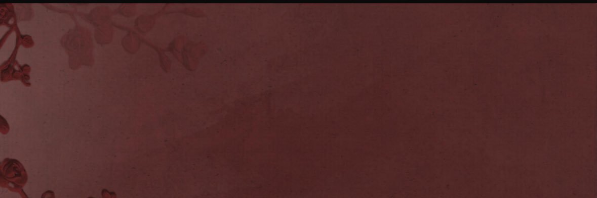 NoraSSA's profile banner image