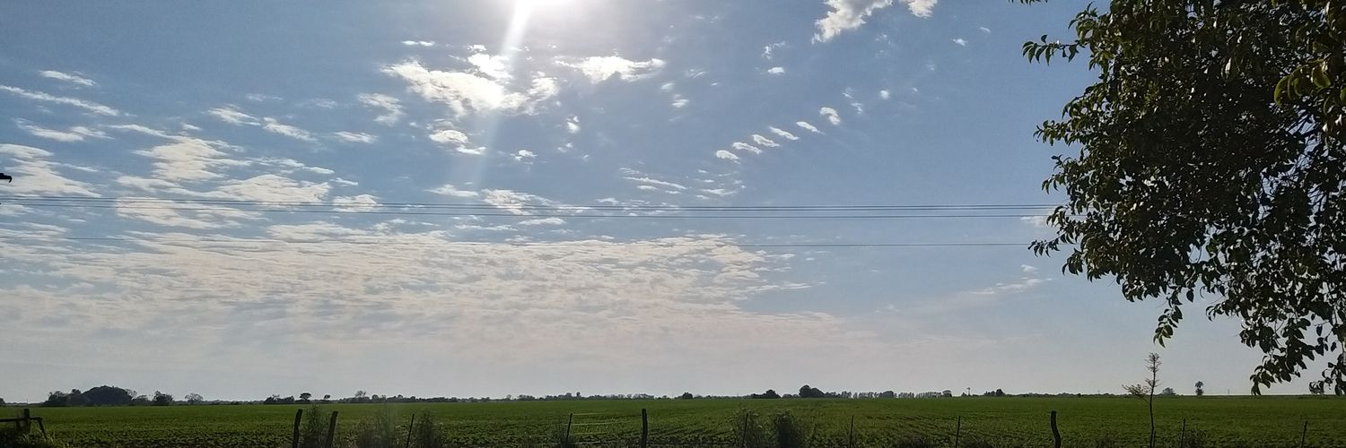 Carlii91's profile banner image