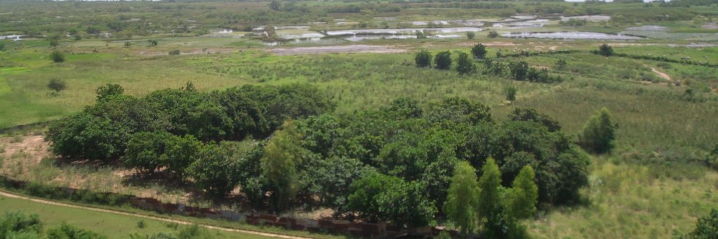 DiscoverGambia's profile banner image