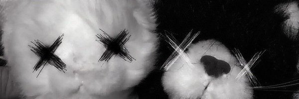 JonathanChenTO Profile Banner