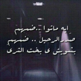 ahlam95103's profile banner image