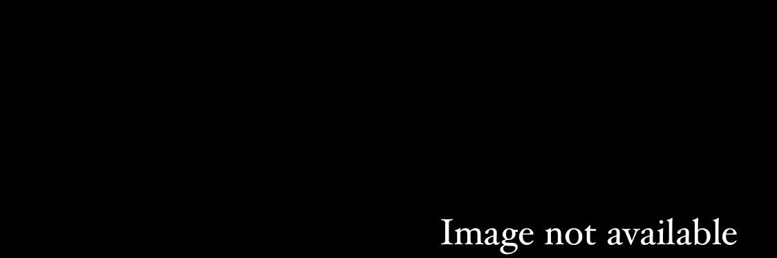 Rosalindev's profile banner image