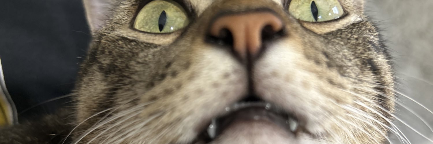 Hello_itsWendy's profile banner image