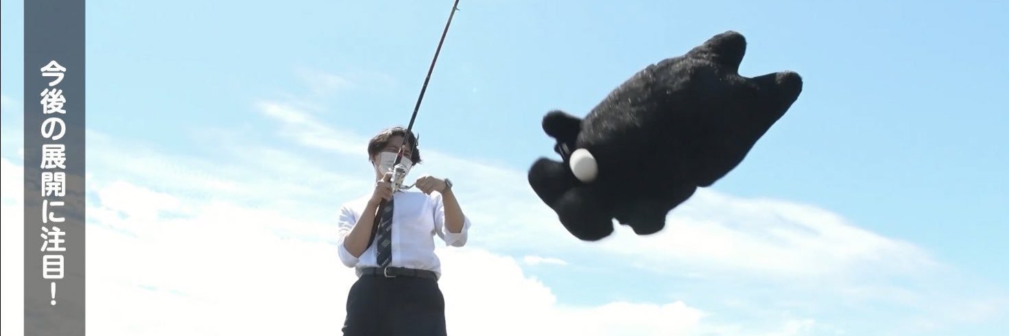 froglovesgreen's profile banner image
