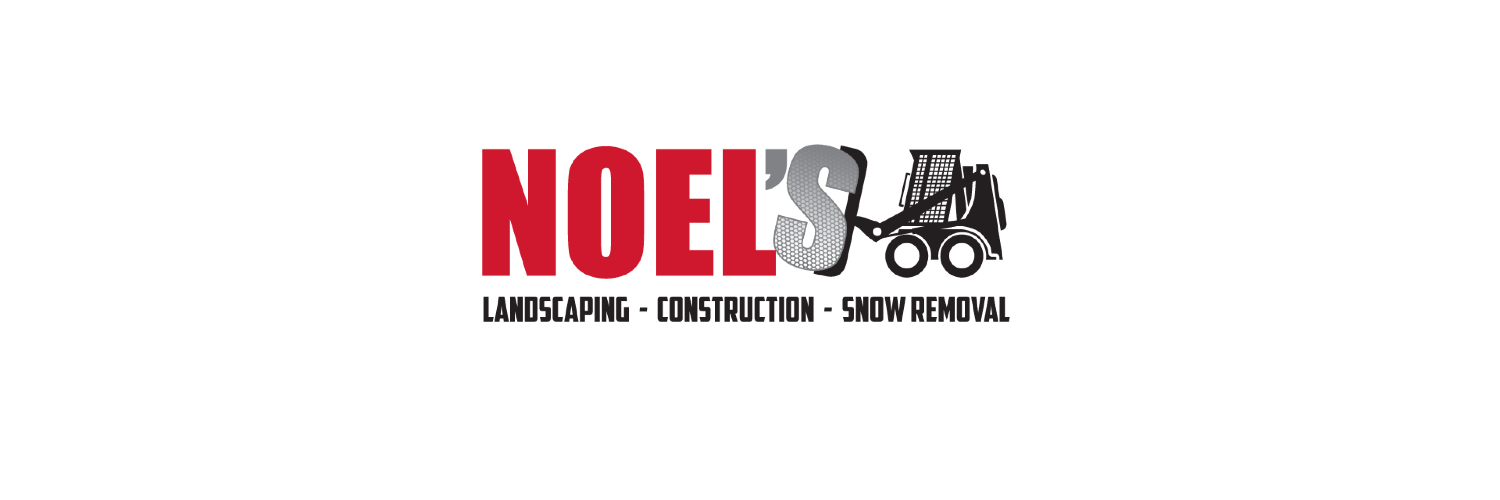 noelsottawa's profile banner image