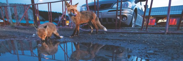 upheremag Profile Banner