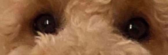 chrisjohnsonnnn's profile banner image