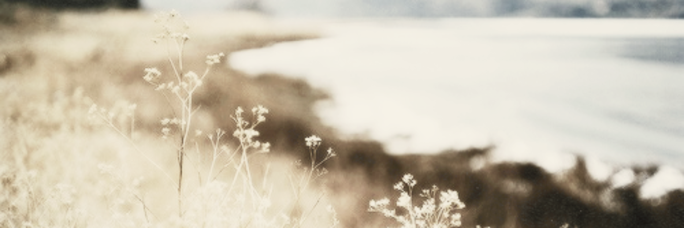 CcltonIHaynes's profile banner image