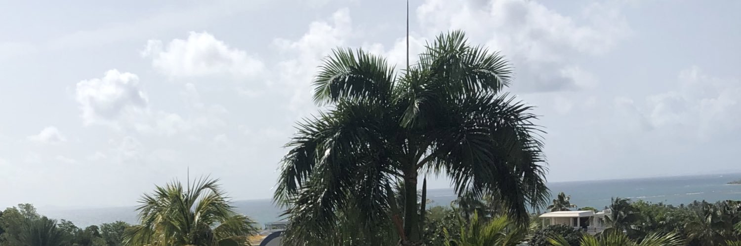 madmav13's profile banner image