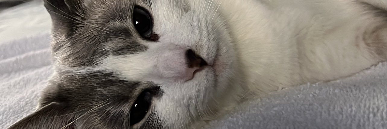 leonivang's profile banner image