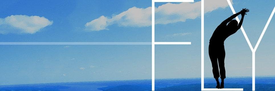 FLY banner