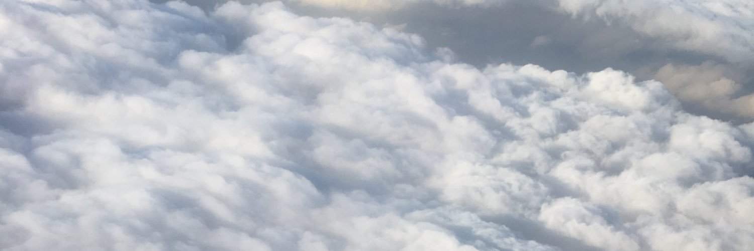 biancarmiranda's profile banner image