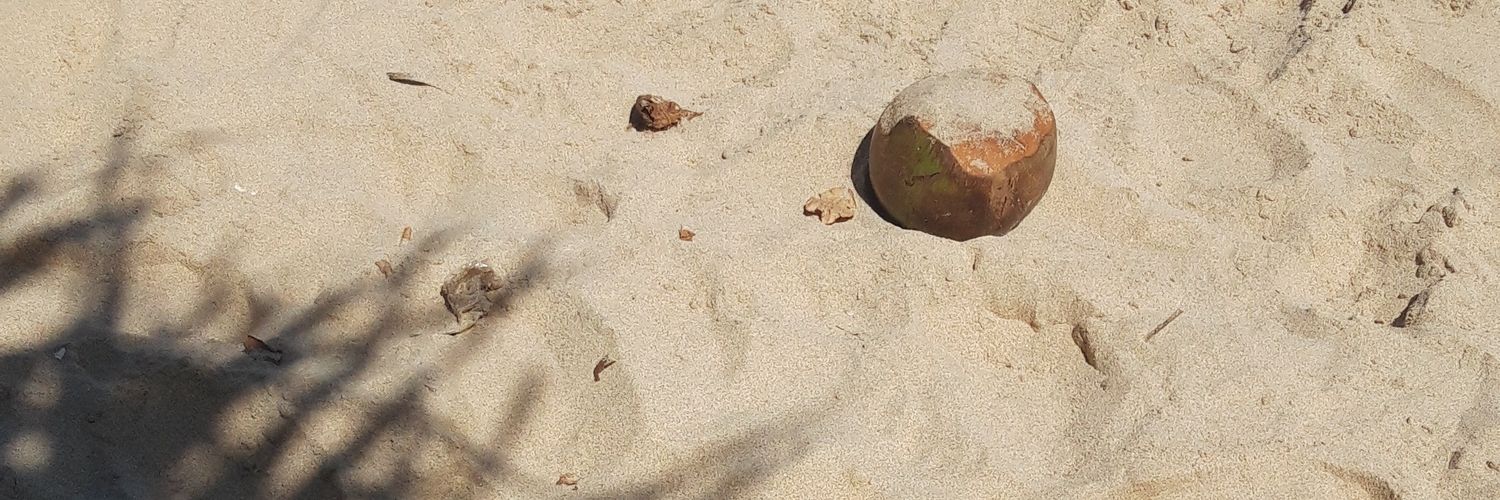 lalanfdlh's profile banner image