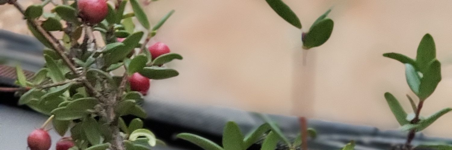 hhvanesa's profile banner image