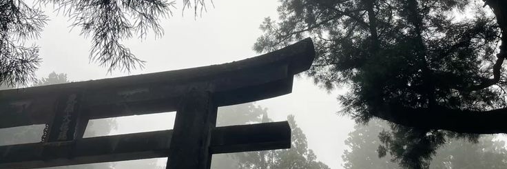 鈴木紗月 banner