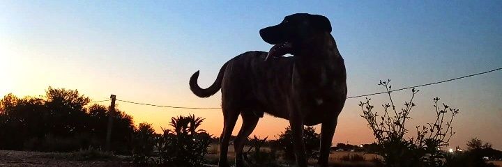 milivillegas3's profile banner image