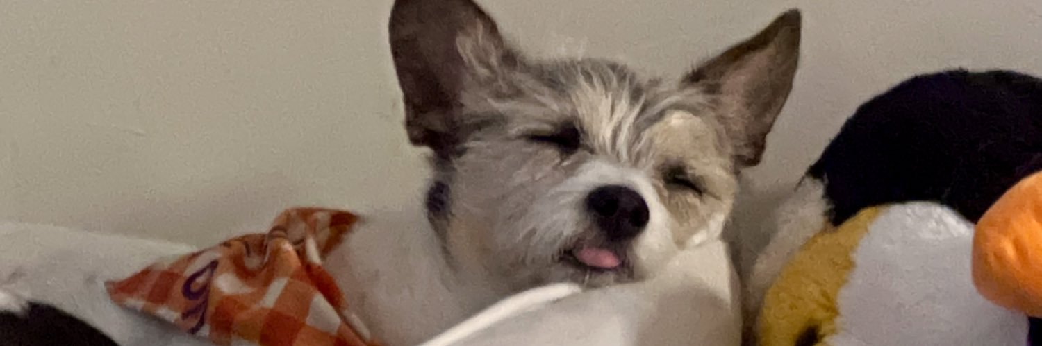 trinityflores_'s profile banner image