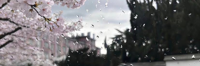 akurama2011's profile banner image