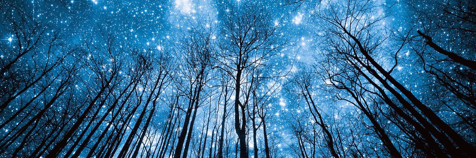 Andres_Diice's profile banner image