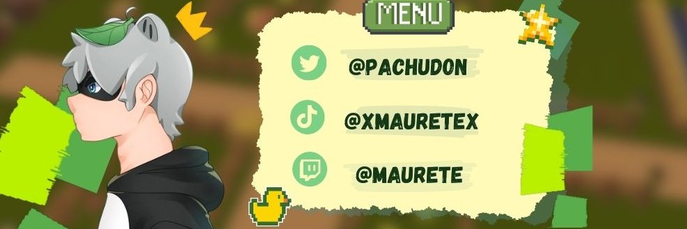 Pachudon's profile banner image