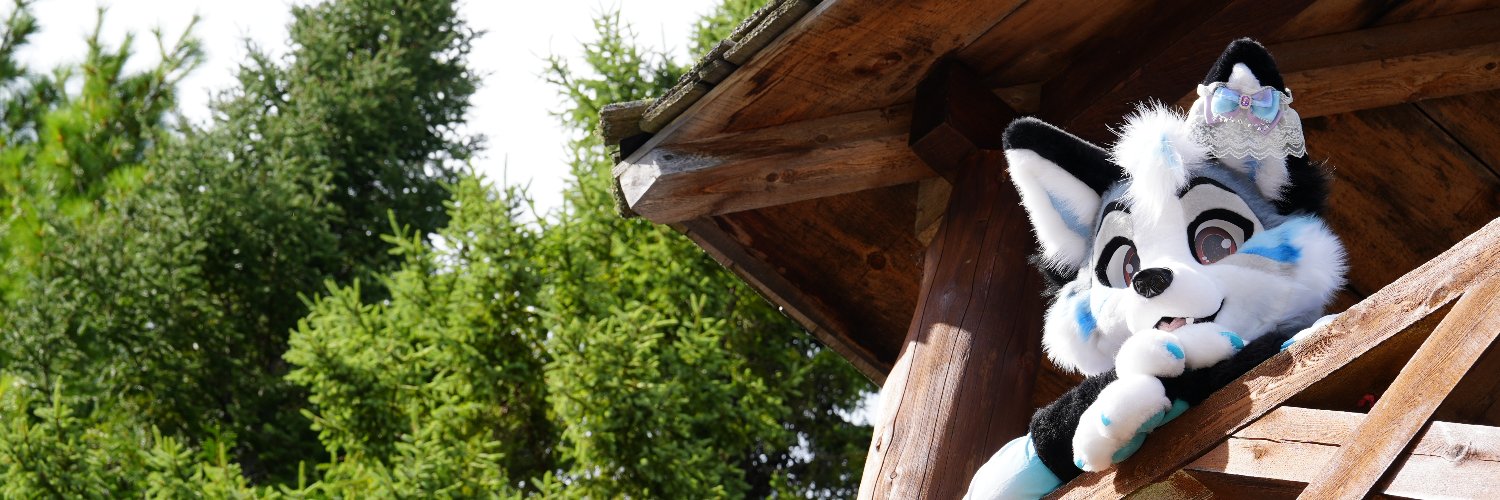 HowL 🍁 🔜 TFF, LVFC, FWA banner