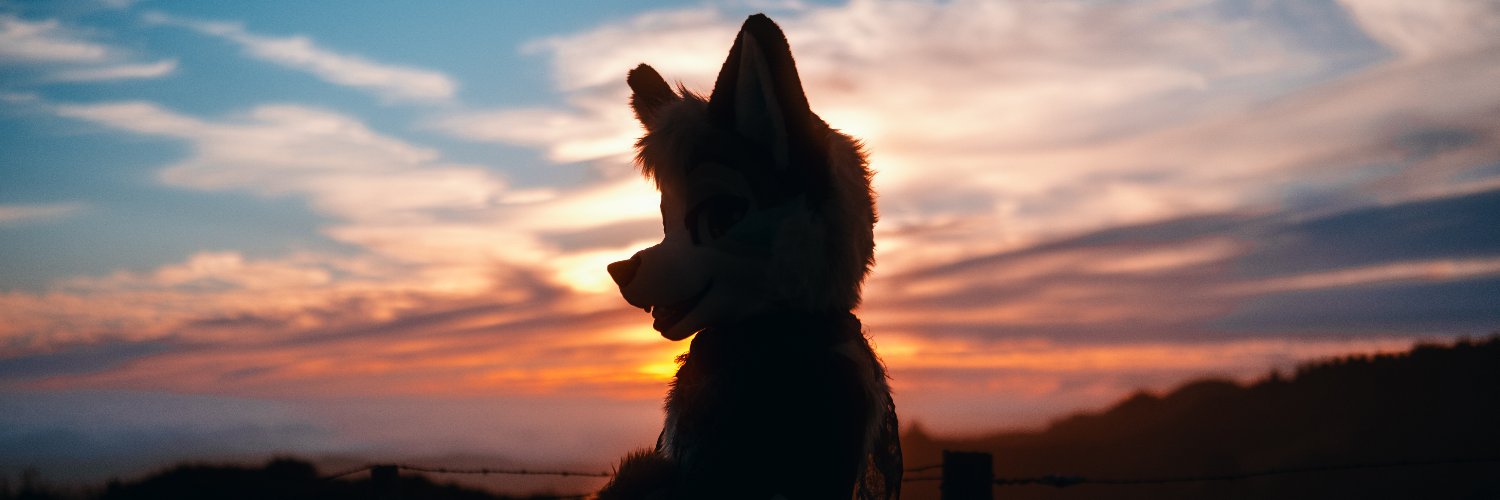 FluffyHowL's profile banner image