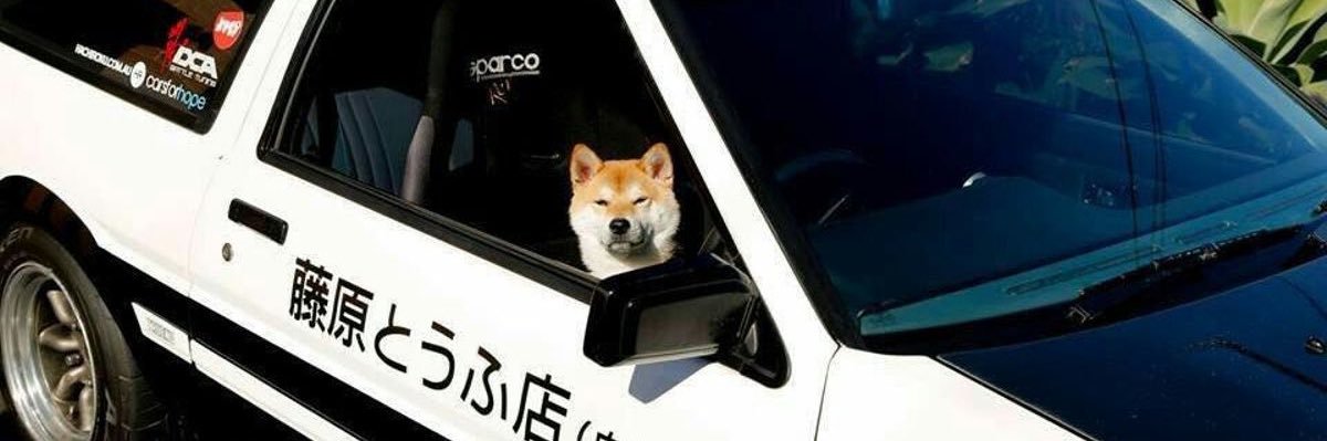 dxmrvfv's profile banner image