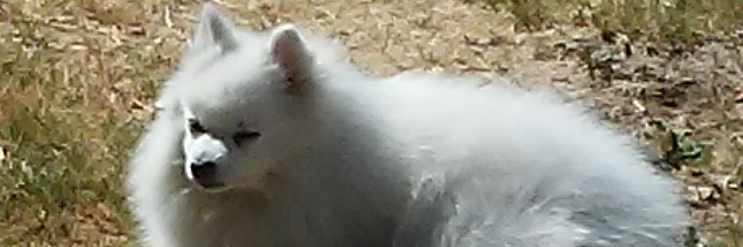 Boomerrangg's profile banner image