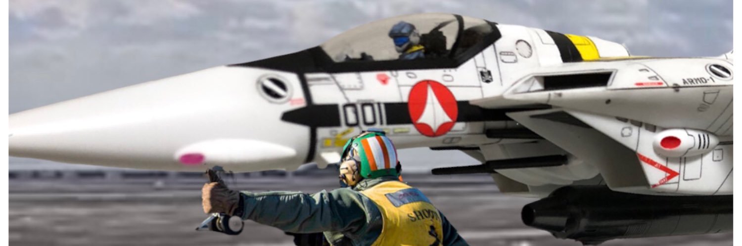VF1VALKYRIE (@Z32Zx) / X