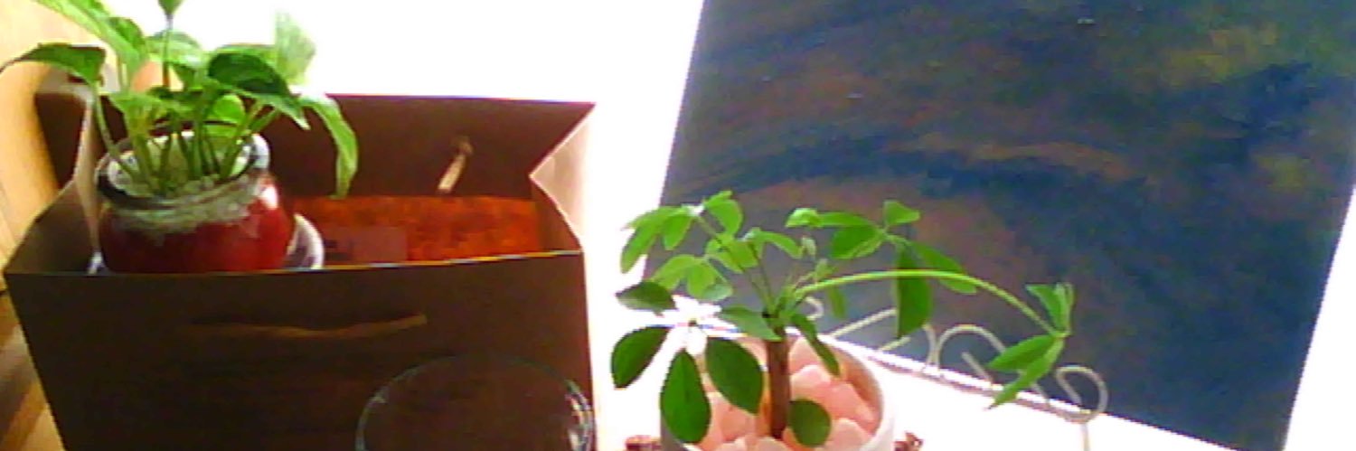 ( ◠‿◠ ) banner