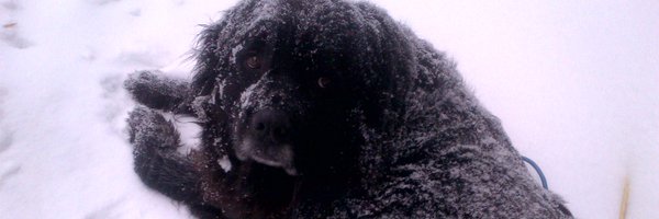 kevink61 Profile Banner