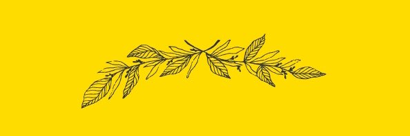 mimosatokyo's profile banner image