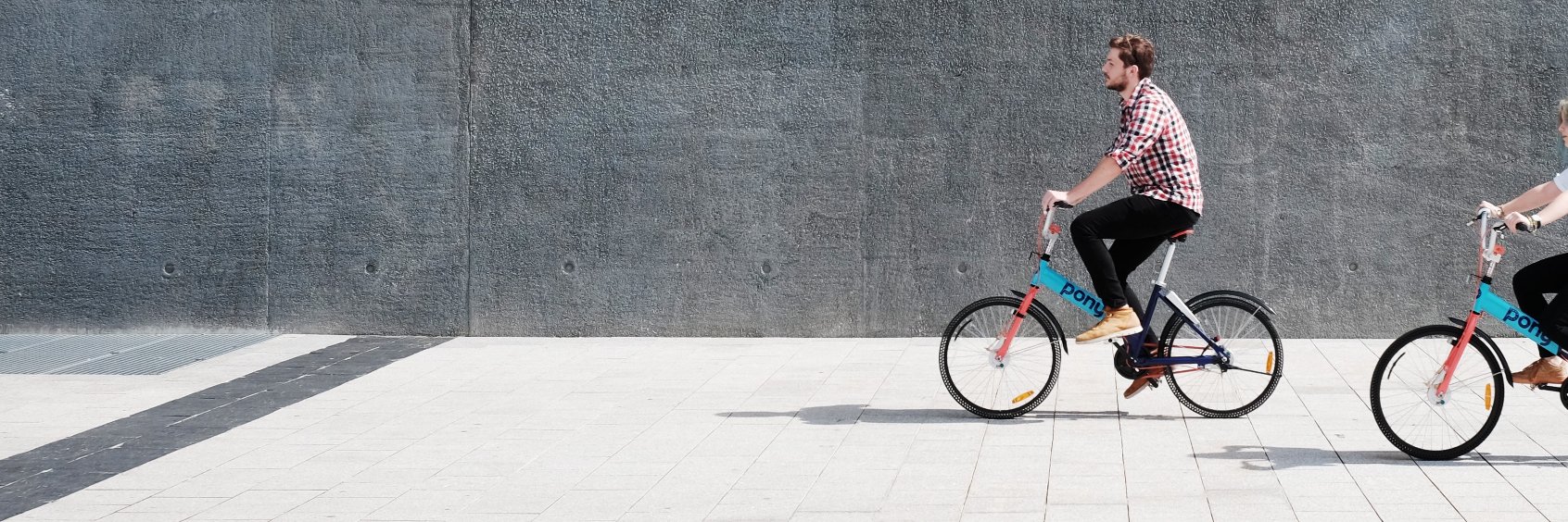 Paula 🐴🚲 banner