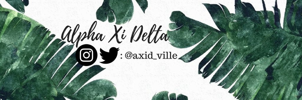 AXiD_Ville's profile banner image