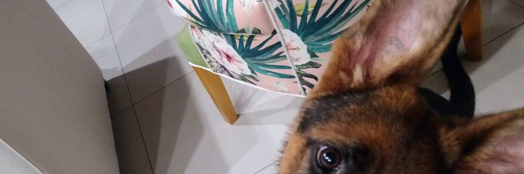 TOBYTL1's profile banner image