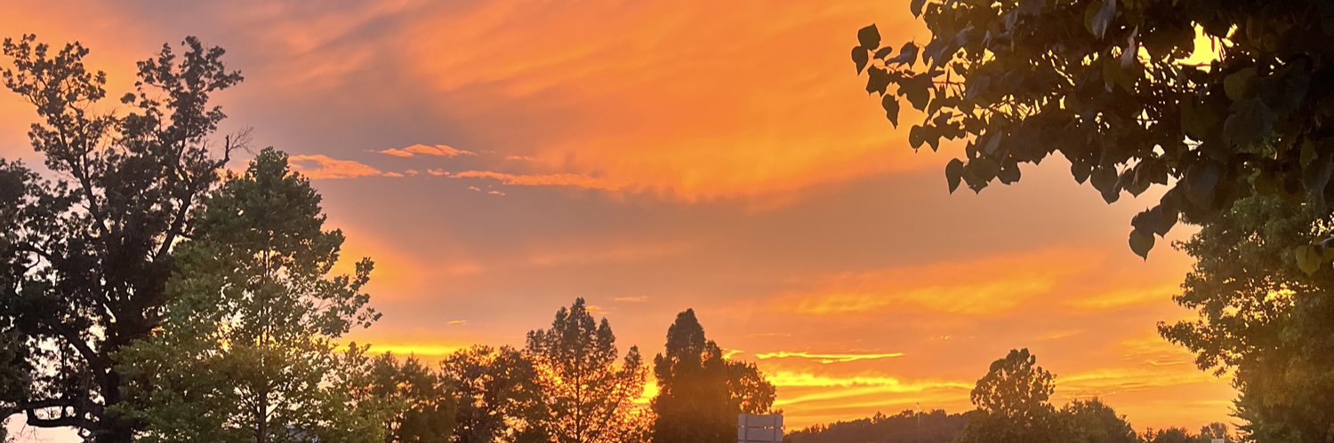 DReynolds320's profile banner image