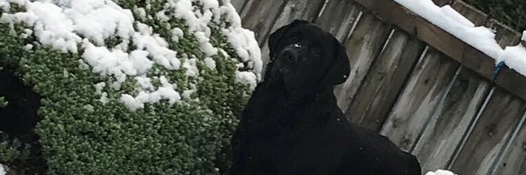 Zoe_Mathers's profile banner image