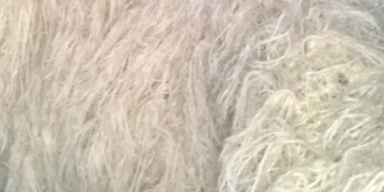 PortiaDash's profile banner image