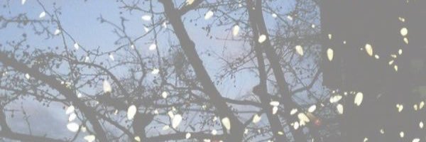 walescaaa's profile banner image