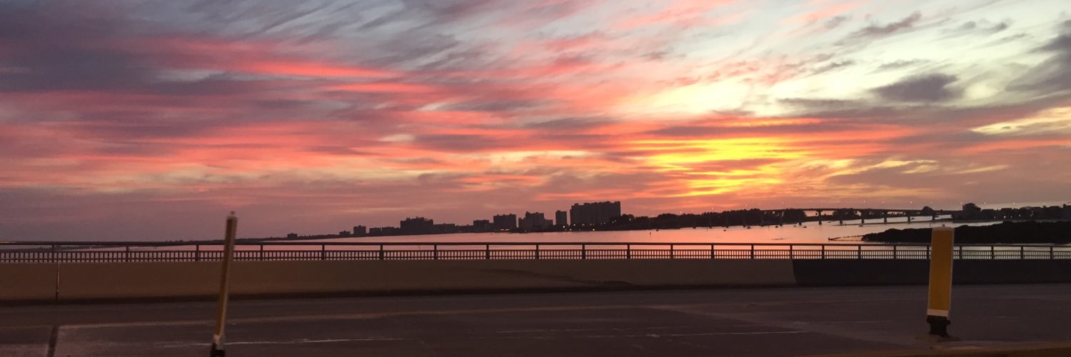 Sascha Chaimowicz banner