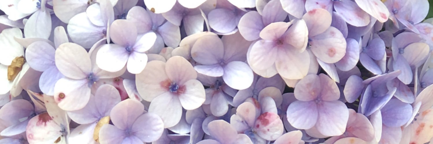 bessiegomes's profile banner image