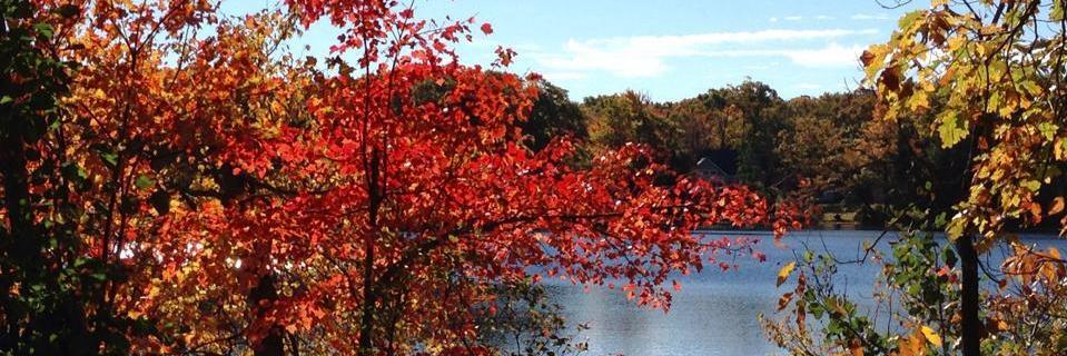 maggiefhart's profile banner image