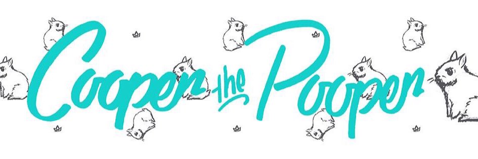 Cooper the Pooper 🐰 banner