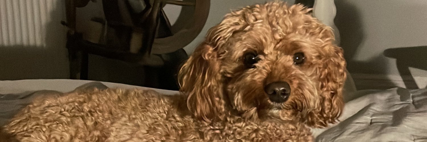 simlington's profile banner image