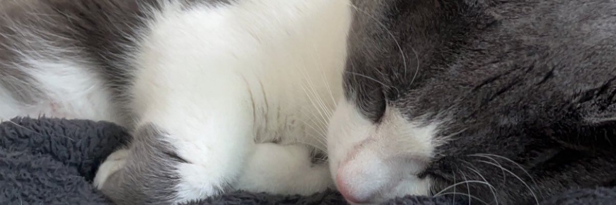 katgod_'s profile banner image