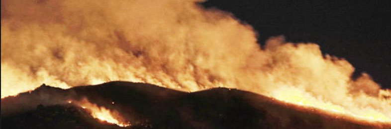 SURVIVAL METHOD banner