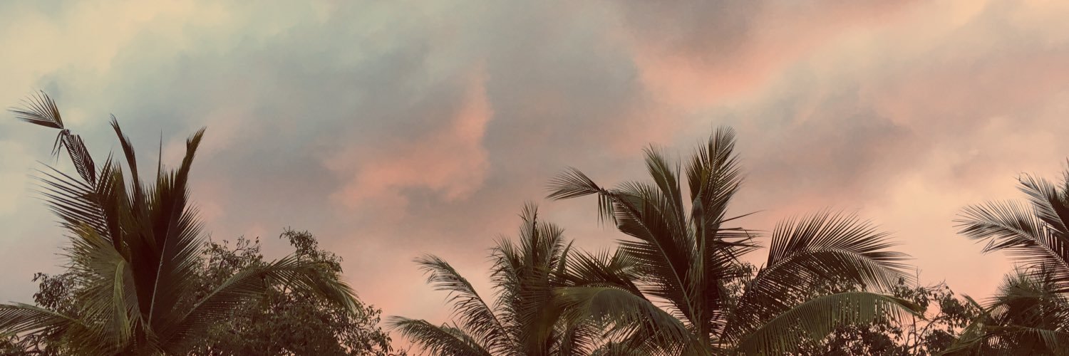 arianepl_'s profile banner image