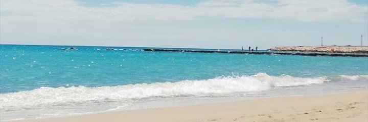 Maria Guillem Ferré banner