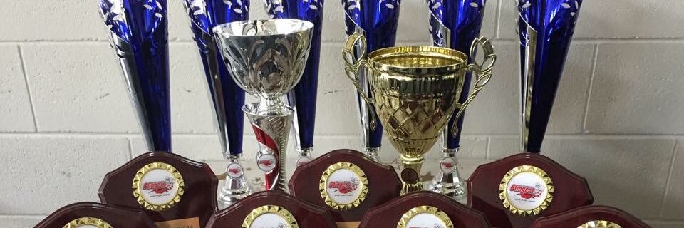 LoganBrothersRL's profile banner image